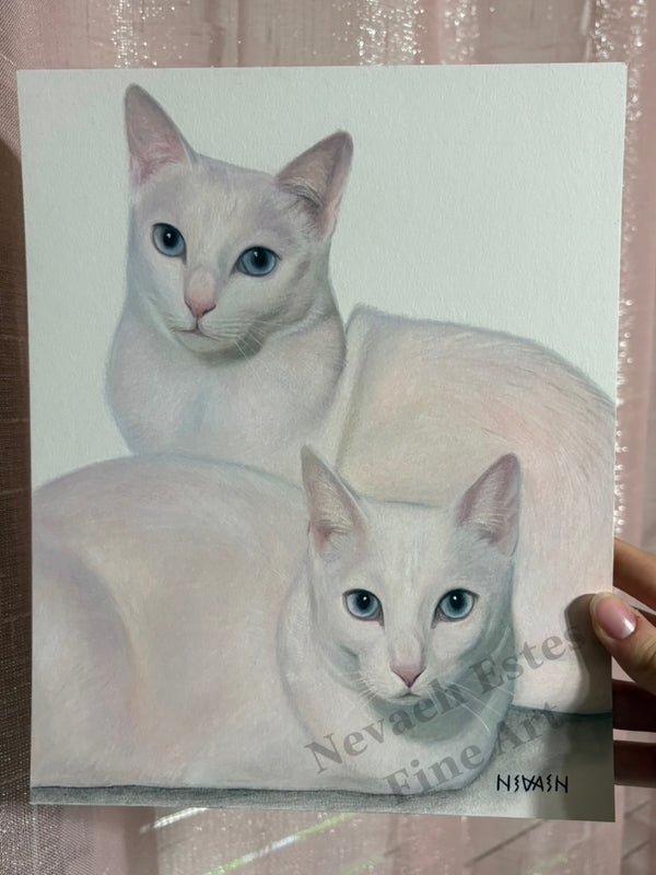 "Tofu & Snowball"