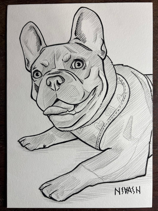 Custom Line Art Pet Drawing 5x7”